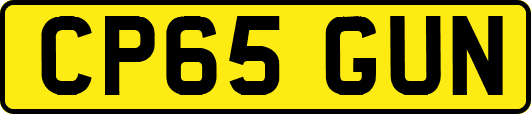 CP65GUN