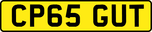 CP65GUT