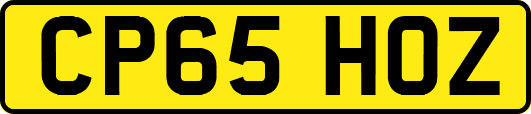 CP65HOZ