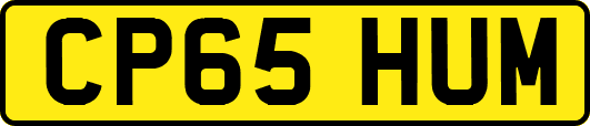 CP65HUM