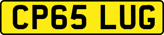 CP65LUG