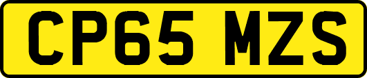 CP65MZS