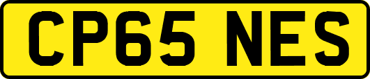 CP65NES