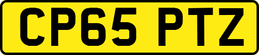 CP65PTZ