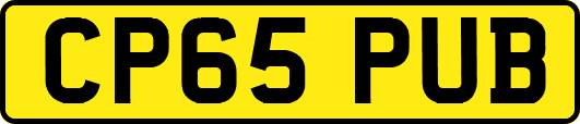 CP65PUB