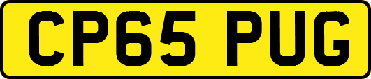 CP65PUG