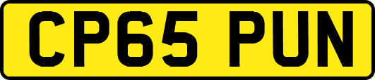 CP65PUN