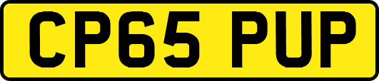CP65PUP