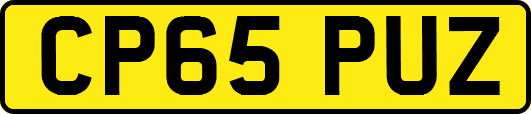 CP65PUZ