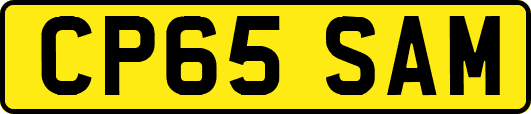 CP65SAM