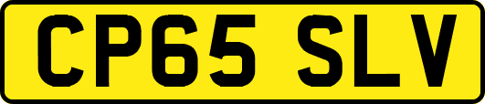 CP65SLV