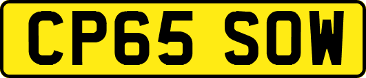 CP65SOW