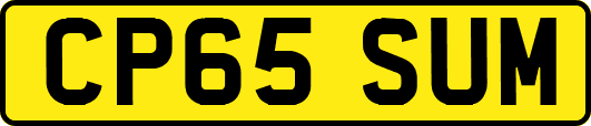 CP65SUM
