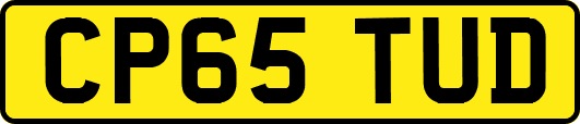 CP65TUD