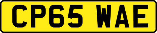 CP65WAE