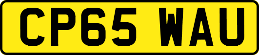 CP65WAU