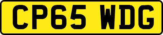 CP65WDG