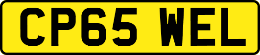 CP65WEL