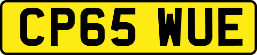 CP65WUE