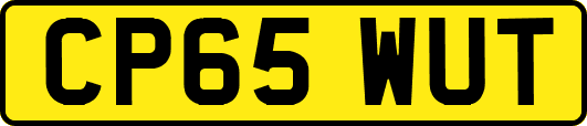 CP65WUT