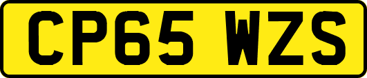 CP65WZS