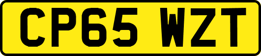 CP65WZT