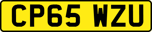 CP65WZU