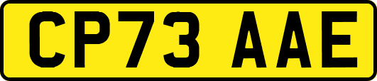 CP73AAE