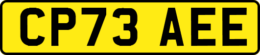 CP73AEE