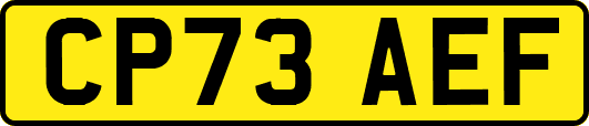 CP73AEF