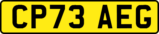 CP73AEG
