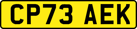 CP73AEK