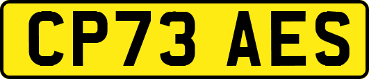 CP73AES