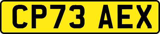 CP73AEX