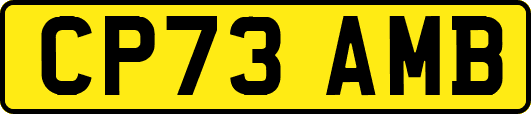 CP73AMB