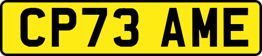 CP73AME