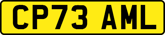 CP73AML