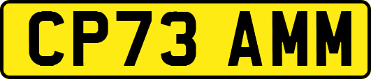 CP73AMM