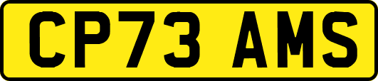 CP73AMS
