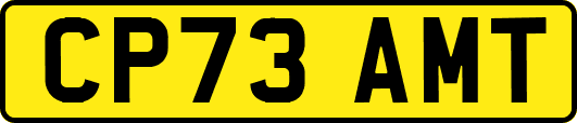 CP73AMT