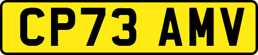 CP73AMV