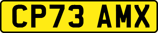 CP73AMX
