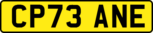 CP73ANE