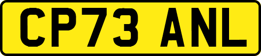 CP73ANL