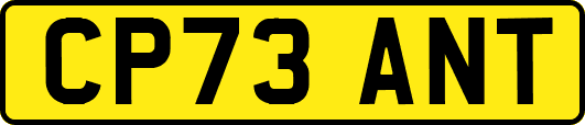 CP73ANT
