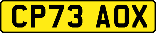 CP73AOX