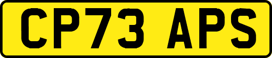 CP73APS