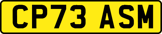 CP73ASM