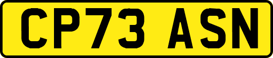 CP73ASN