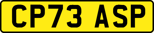 CP73ASP